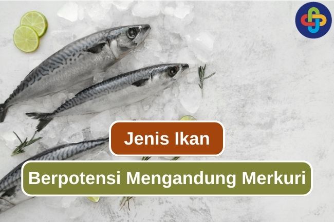 Waspada! 7 Ikan Ini Berpotensi Mengandung Merkuri